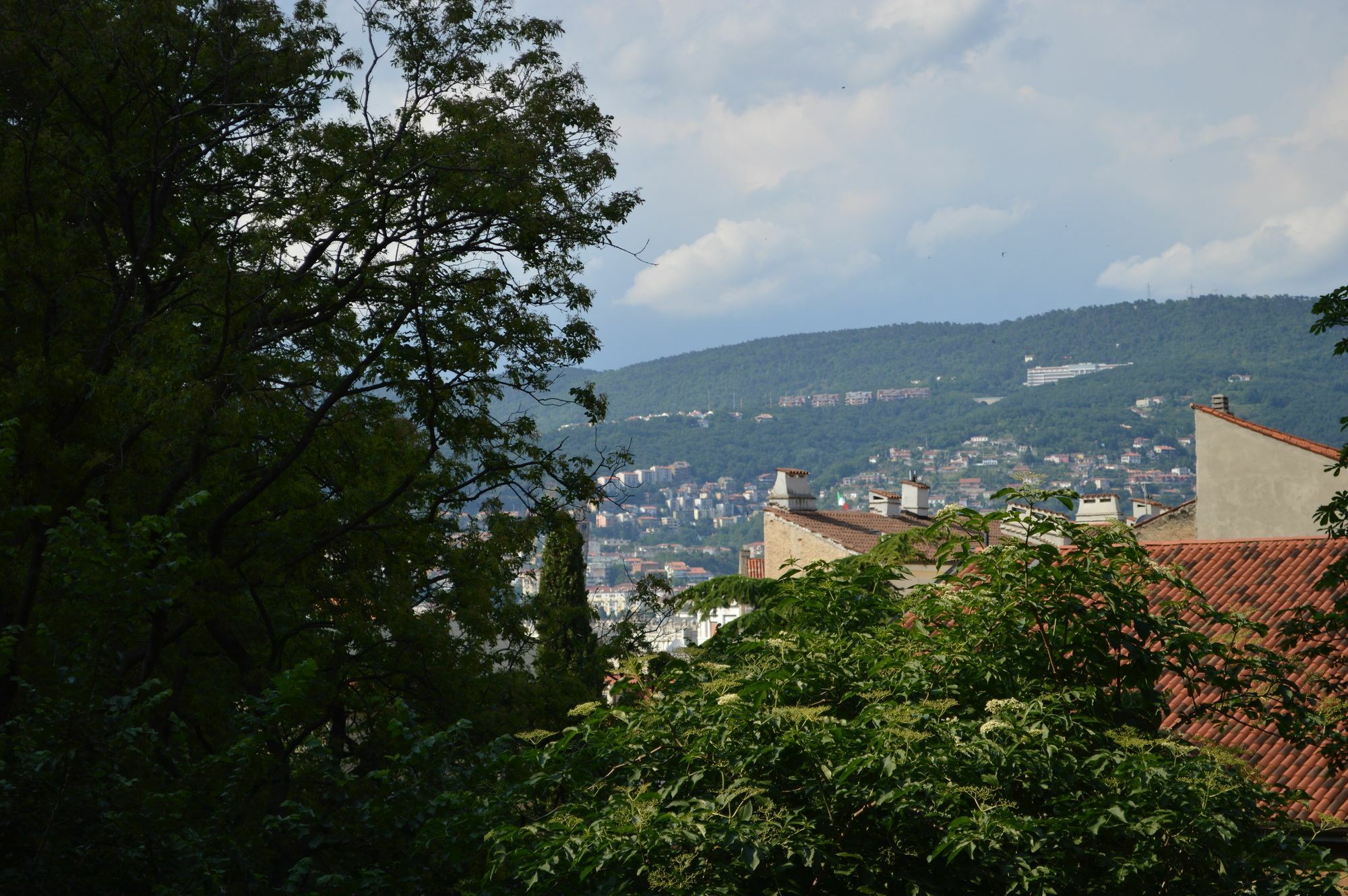 Casa Vacanze All'Angolo Trieste Dış mekan fotoğraf